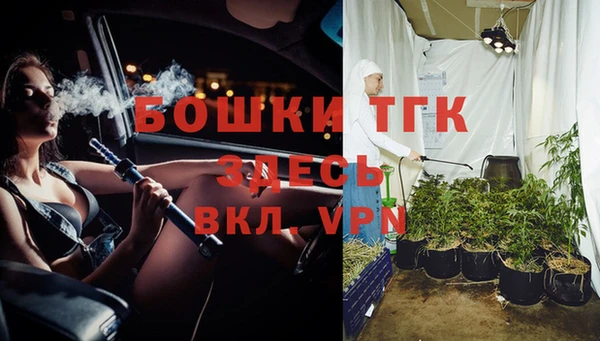 твердый Алексеевка
